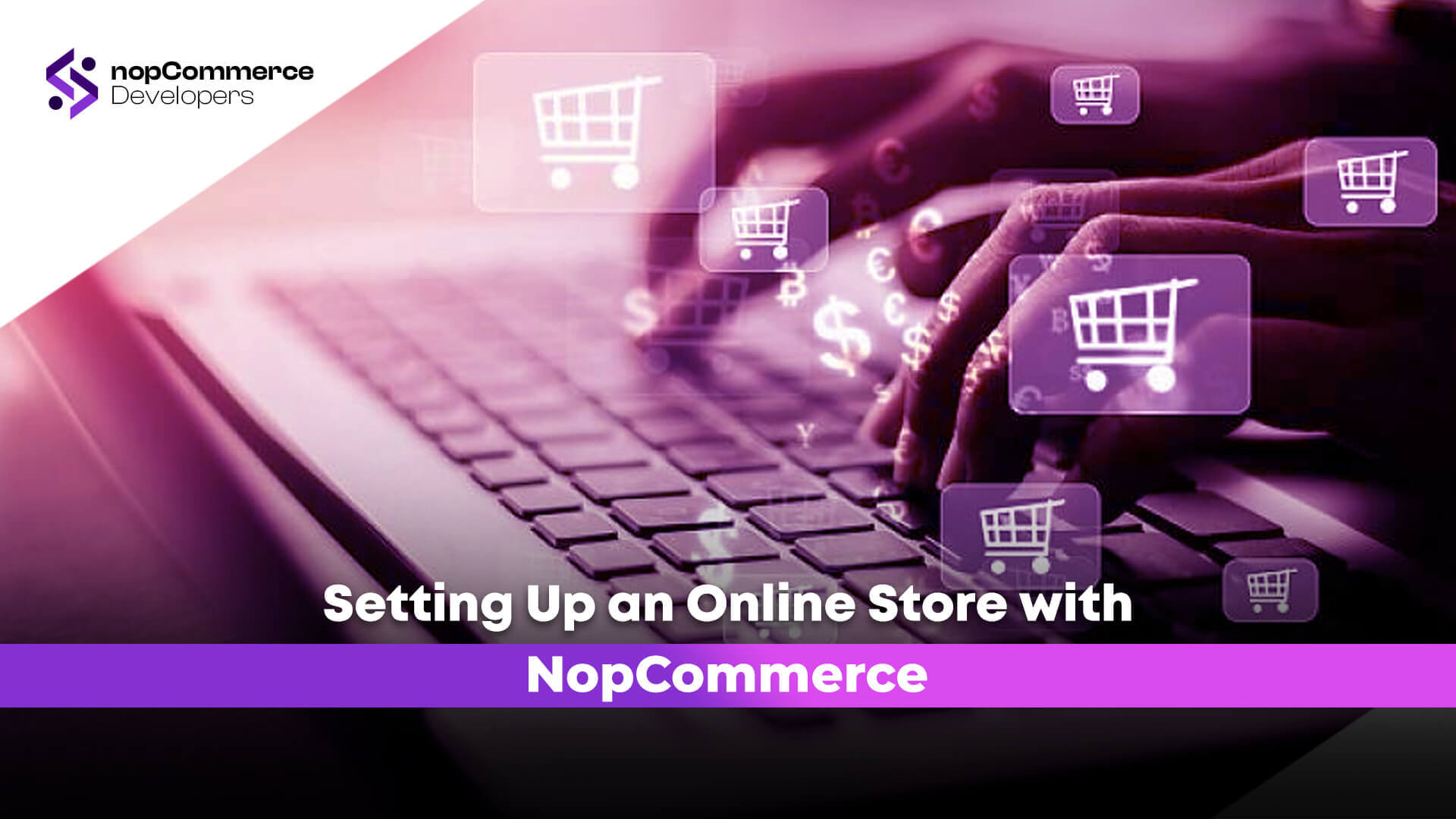 Setting Up an Online Store with NopCommerce setup guide