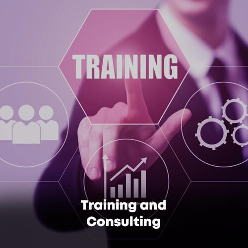 Training and Consulting