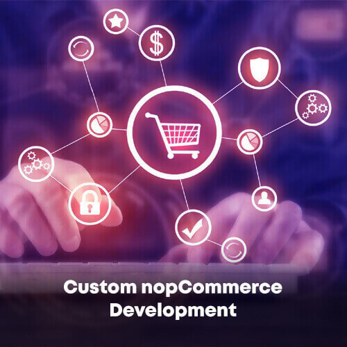 Custom nopCommerce Development