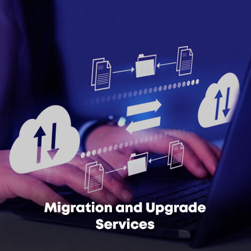 Migration and Upgrade Services: